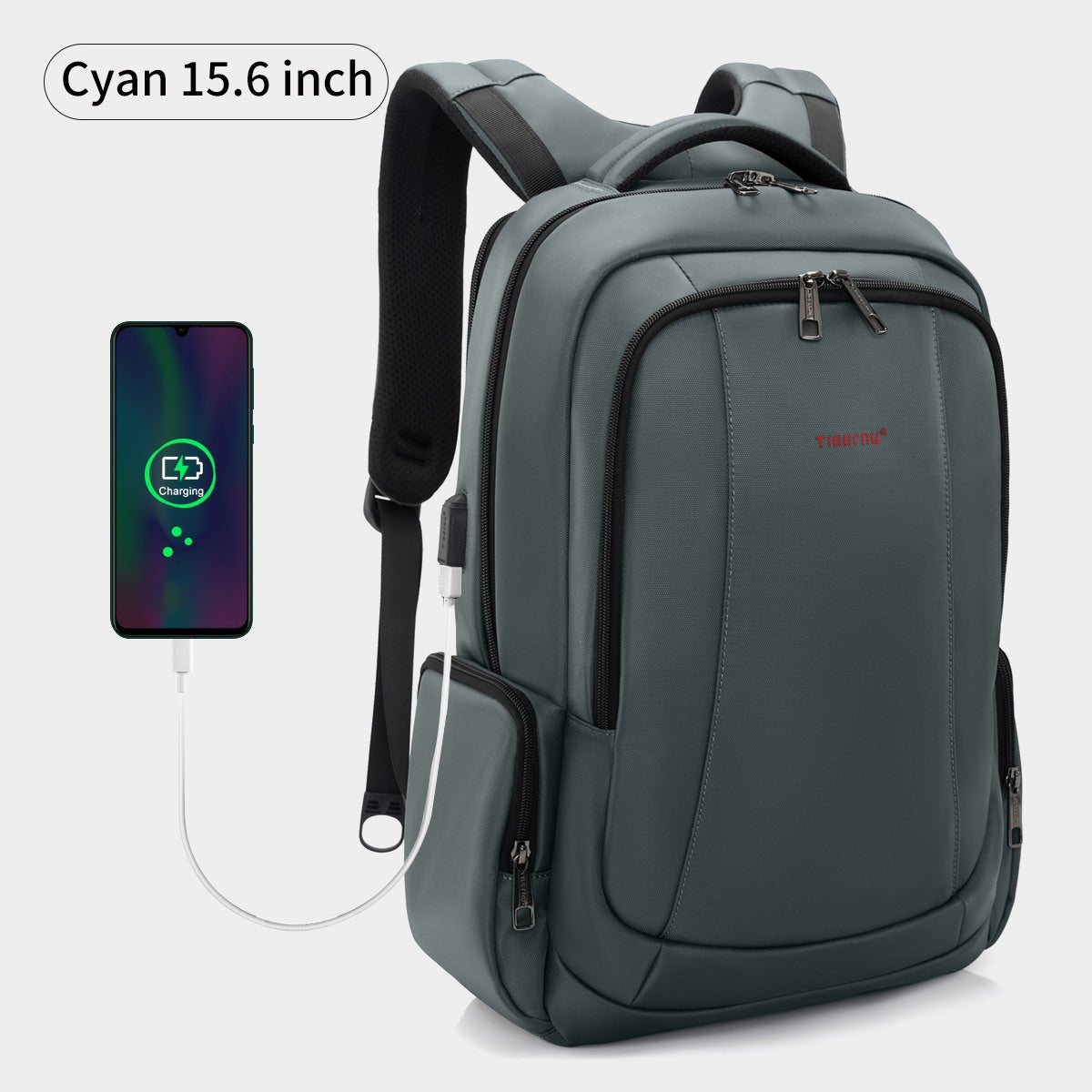 Business Laptop Backpack
